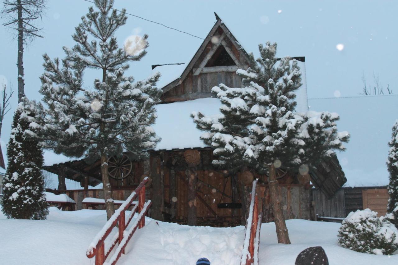 Willa Grzesiczek Zakopane Exterior foto