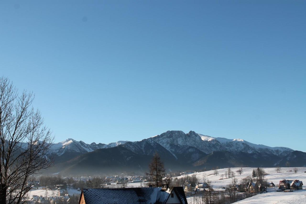 Willa Grzesiczek Zakopane Exterior foto