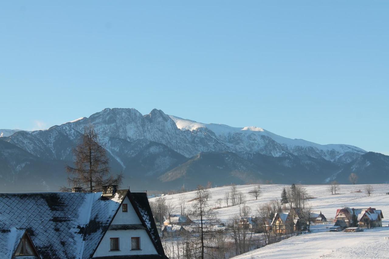 Willa Grzesiczek Zakopane Exterior foto